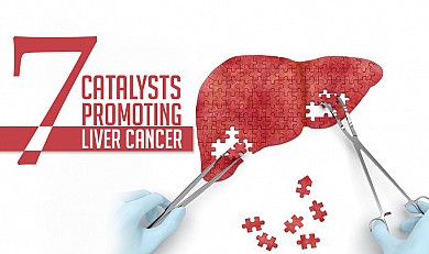 7 Catalysts Promoting Liver Cancer